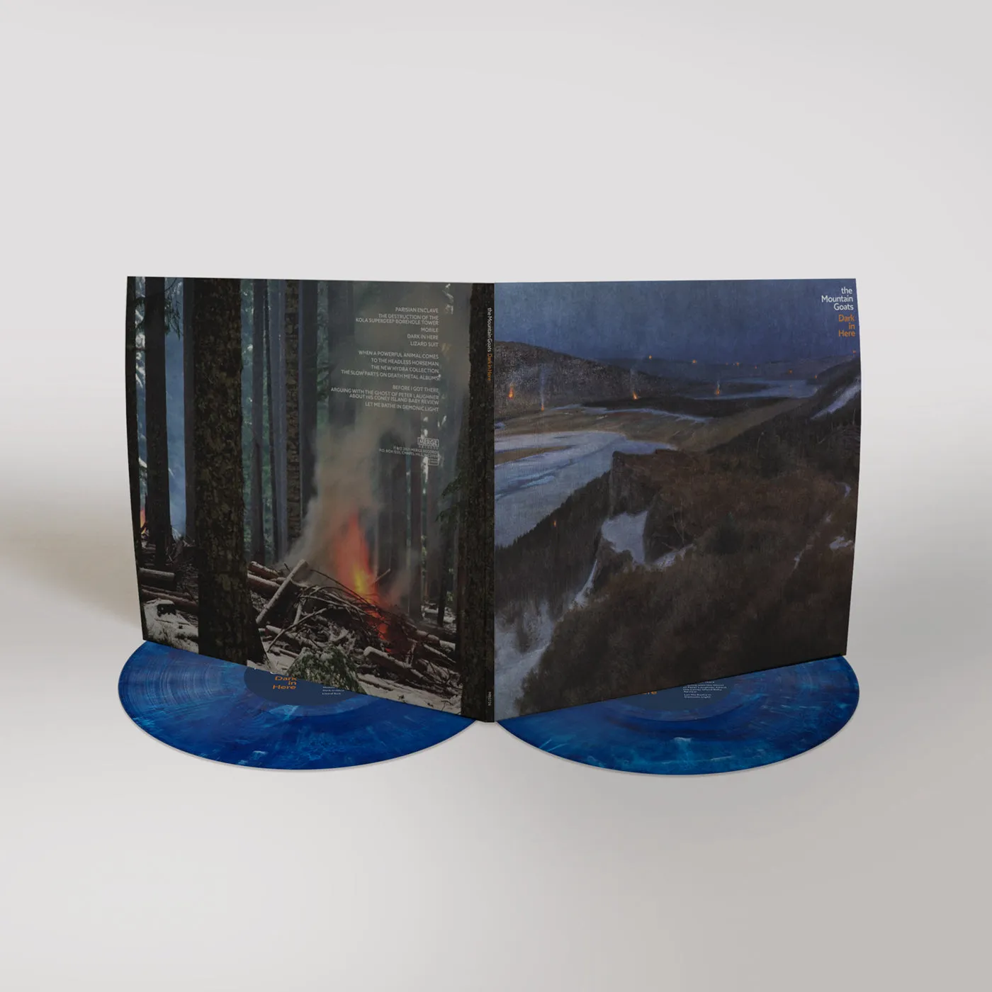 Dark In Here Vinyl LP (Blue)
